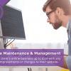 Website Maintenance & Management